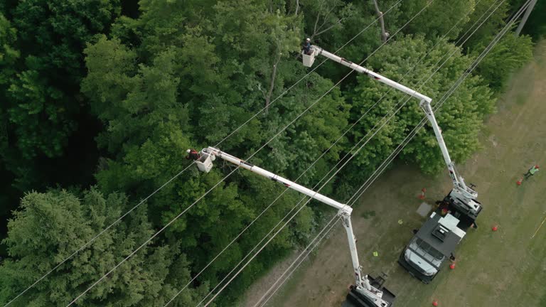 Best Storm Damage Tree Cleanup  in Fairfax, OK